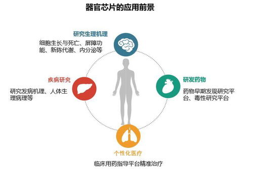 生物芯片技術 生物醫藥研發的新利器
