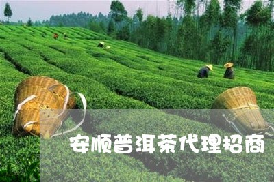 普洱茶市場機(jī)遇 安順普洱茶代理招商深度解析