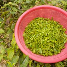 久和順茶葉加盟 開啟茶葉代理與銷售事業(yè)的新篇章