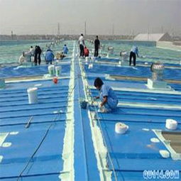 1.5mm厚貼必定CLF交叉層壓膜高分子自粘防水卷材價(jià)格解析與產(chǎn)品優(yōu)勢概述